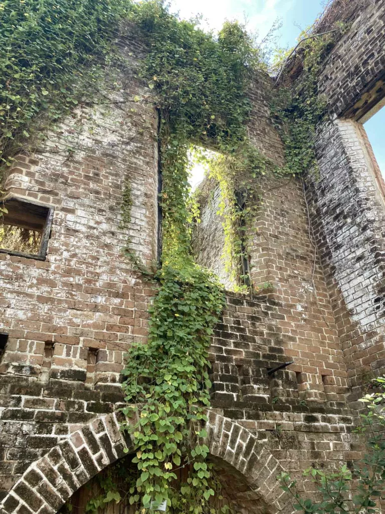 beautiful brick walls at the children's museum adorned with greenery make for an epic backdrop