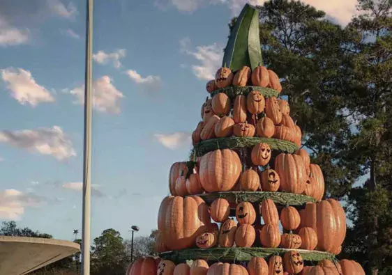 pumpkins at callaway gardens