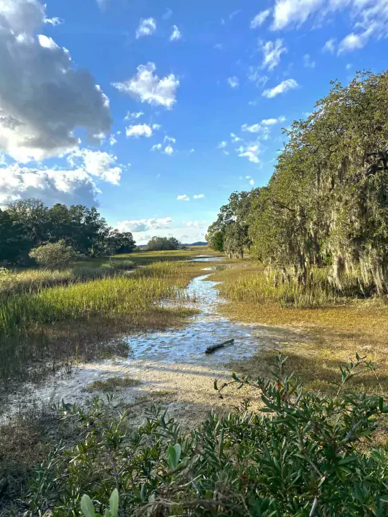 Things To Do in Parris Island - From Parris Island, With Love