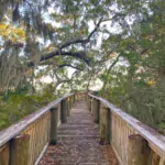 adventurous things to do on parris island with your family
