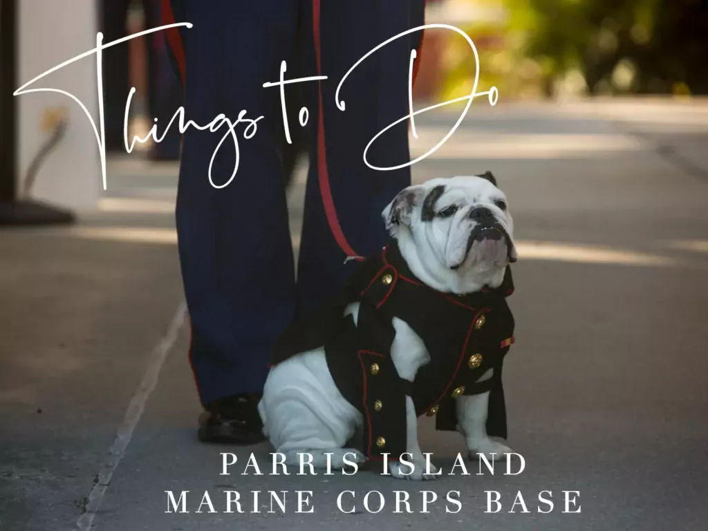 adventurous things to do on parris island for graduation 