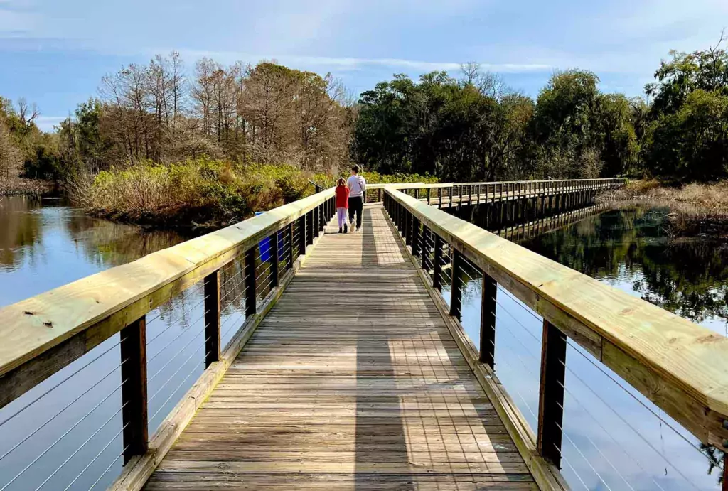 A mother and daughter walking down a boardwalk with water surrounding on both sides as they gaze at the beauty of the Cypress Wetlands Rookery.