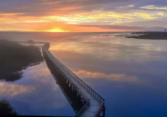 things to do near beaufort sc