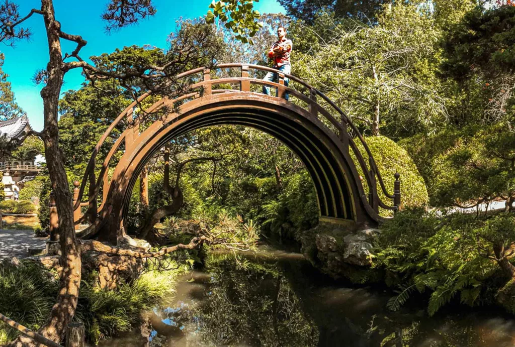 A man standing proudly atop the bridge within San Francisco's Japanese Tea Garden, with glistening water beneath him, creating a magical ambiance.