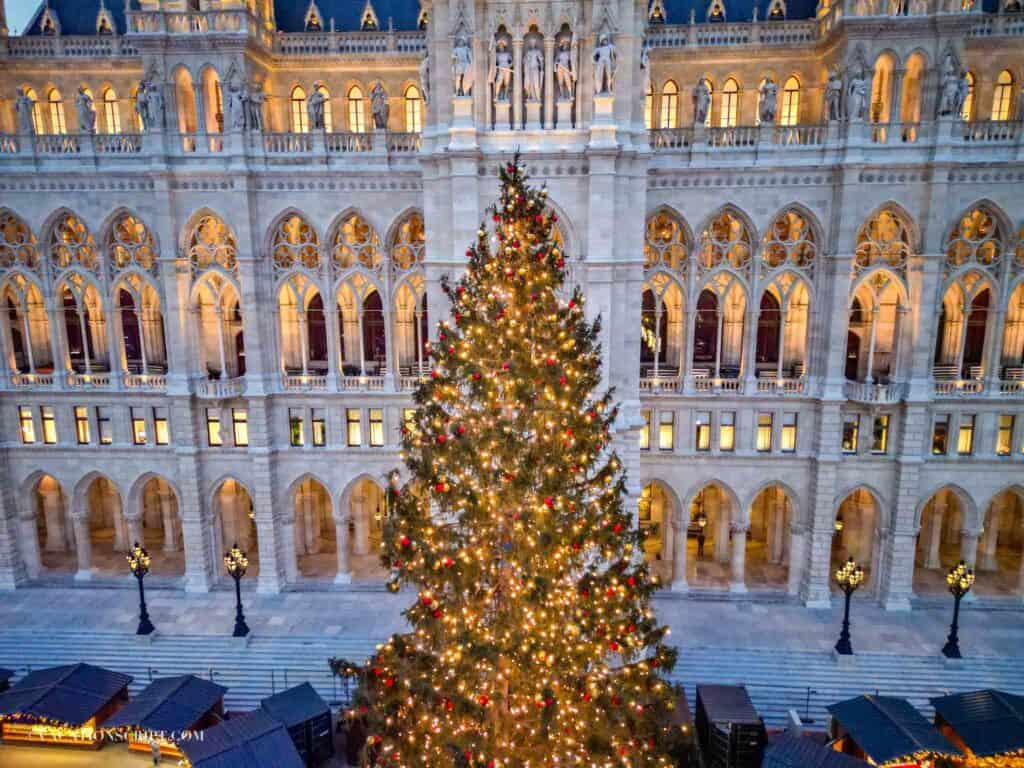 the twinkling 100 ft Christmas tree in front of Vienna's lighted City Hall building at dusk