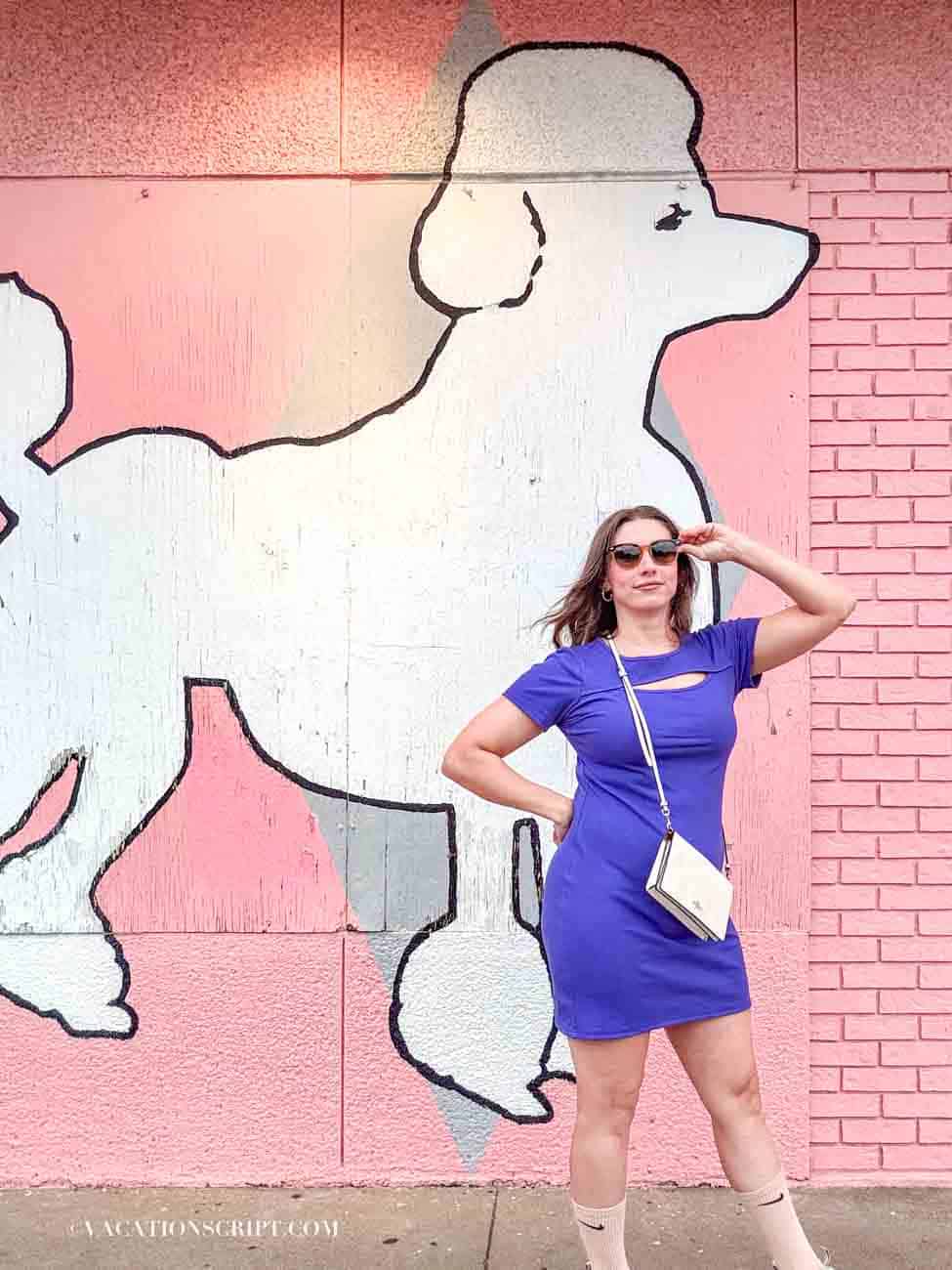 pink poodle Colorful street art mural in Austin, Texas – one of many Instagram-worthy mural spots featured in this complete guide to Austin murals, with photo tips and exact map locations included